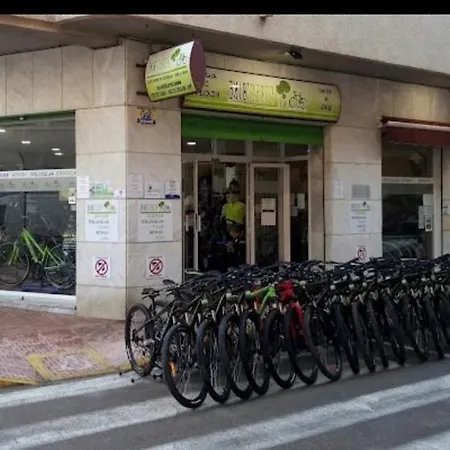 Estudio Torrevieja P & A